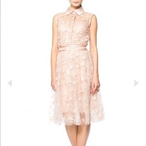NWT Tadashi Shoji Pink Tulle Lace Midi Dress